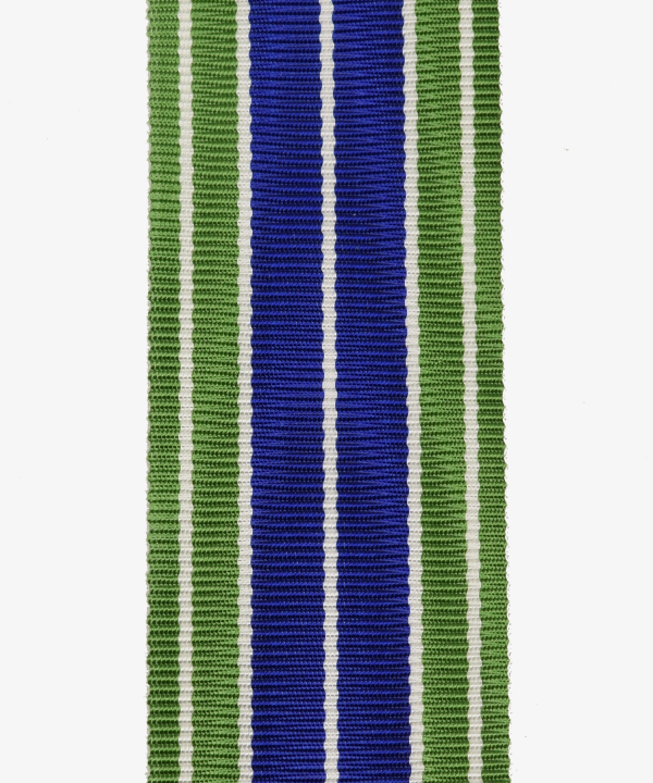 United States, US Army Achievement Medal (235)